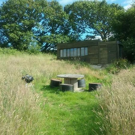 Stags View,Unique eco cabin, Dartmoor views South Brent Extérieur photo