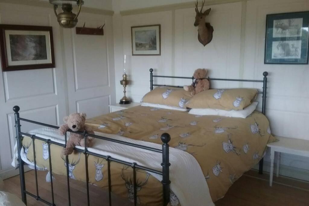 Stags View,Unique eco cabin, Dartmoor views South Brent Extérieur photo