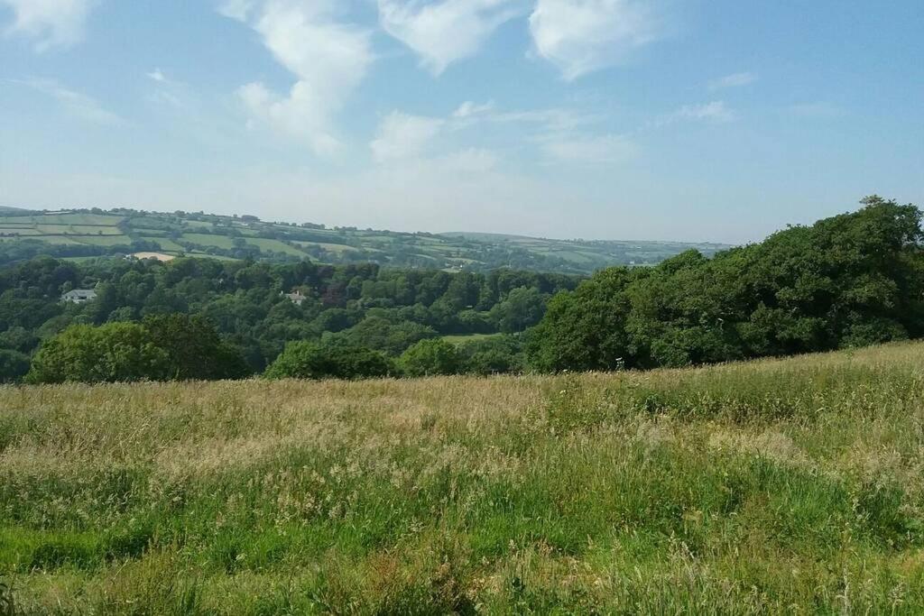 Stags View,Unique eco cabin, Dartmoor views South Brent Extérieur photo