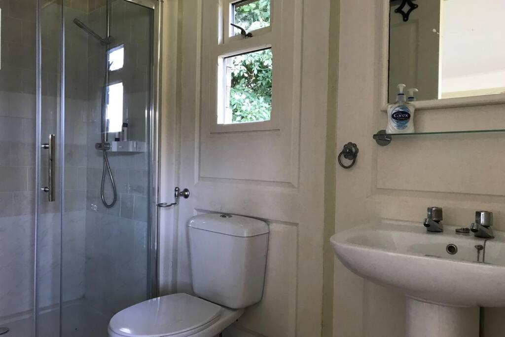 Stags View,Unique eco cabin, Dartmoor views South Brent Extérieur photo