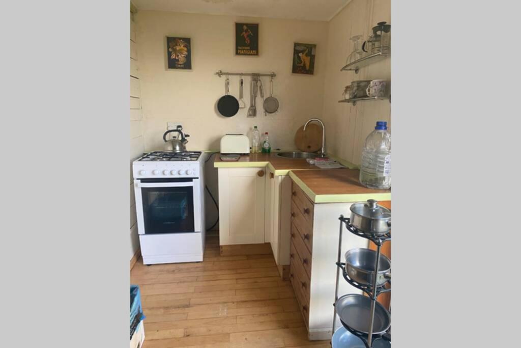 Stags View,Unique eco cabin, Dartmoor views South Brent Extérieur photo